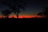 Elephant Plains Game Lodge